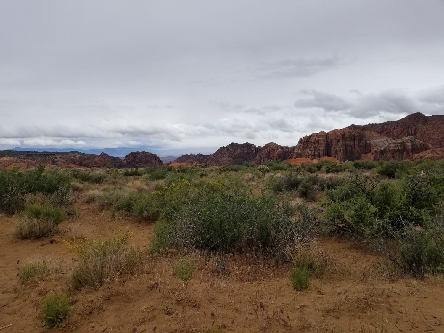 Snow Canyon State Park 